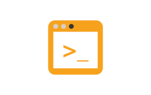 Rudtek Services Custom Coding