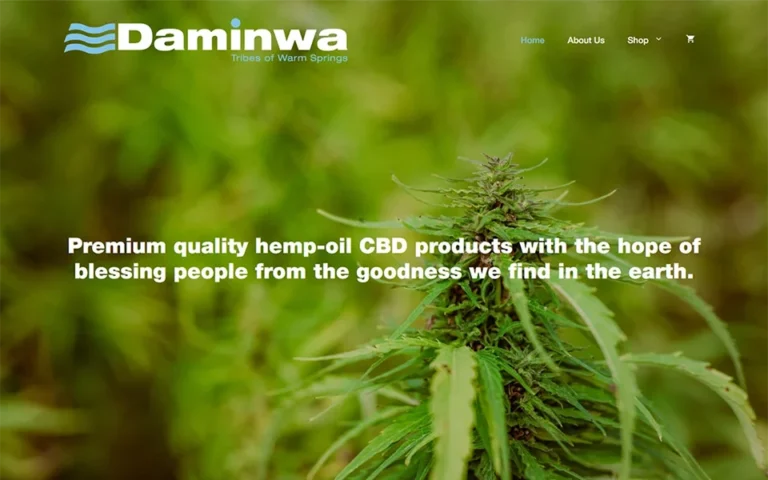 Rudtek Projects Daminwa Website