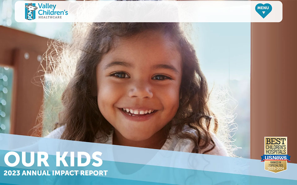 Rudtek Projects Websites Valley Childrens Impact Report